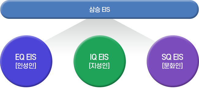 Samseung EIS 세부 추진 내용 이미지